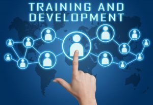 JellyBEAN Training WordPRESS HTML CSS SEO