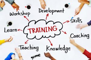 JellyBEAN Training WordPRESS HTML CSS SEO